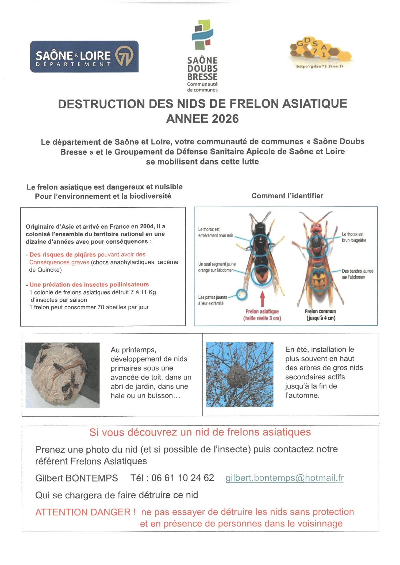 Destruction des nids de frelons asiatiques